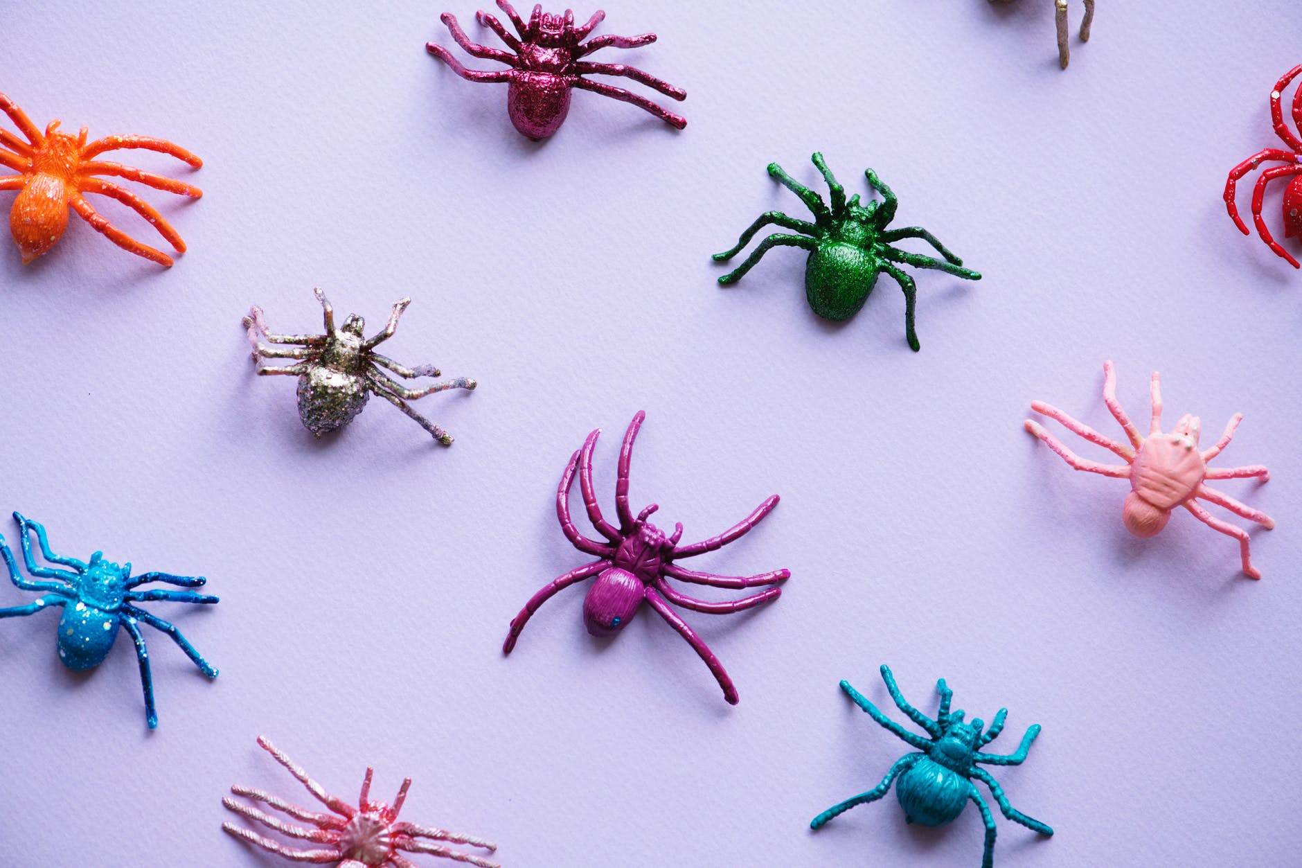 assorted color spider plastic toy collection