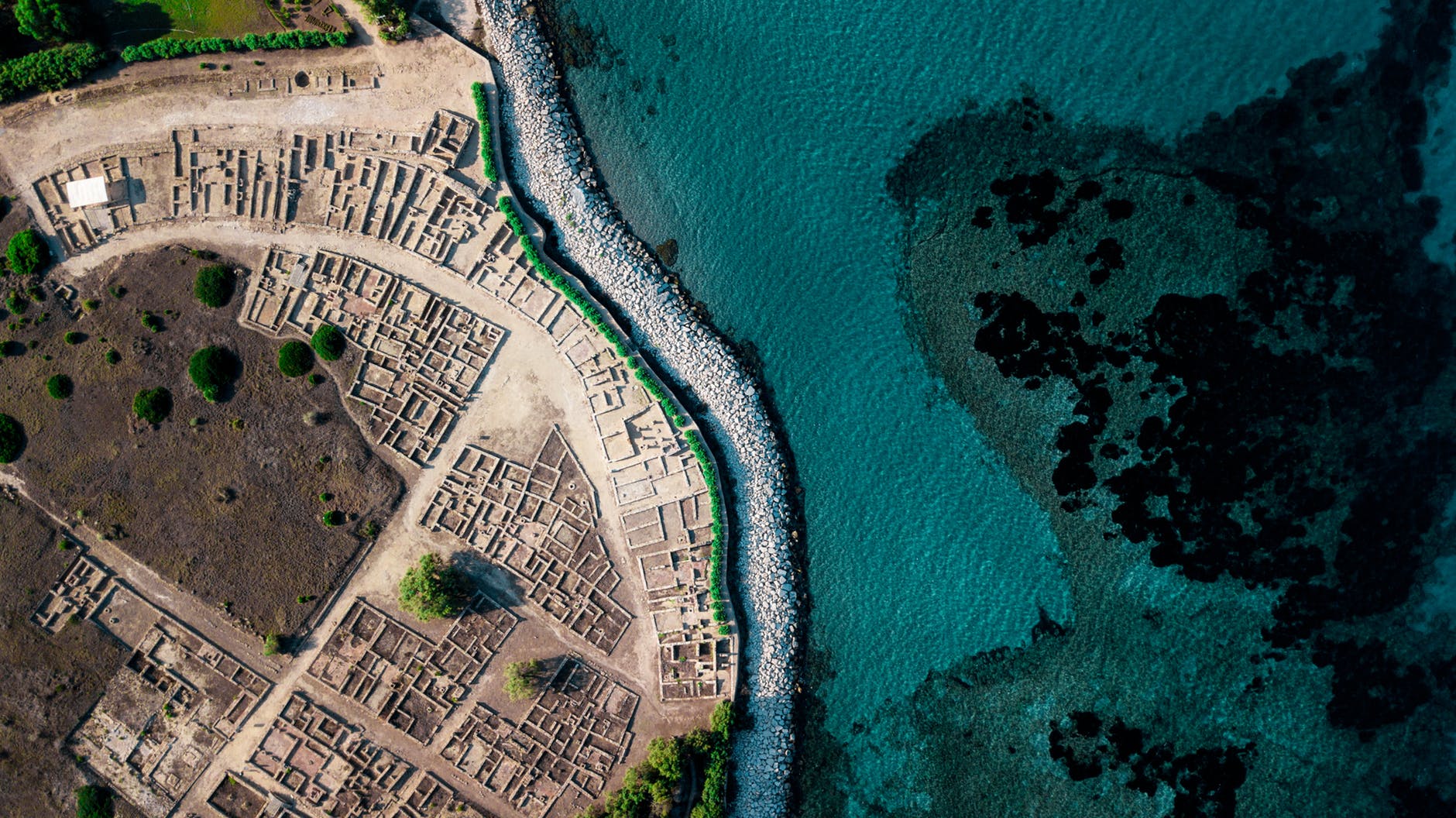 top view photography of buildings and trees beside large body of water