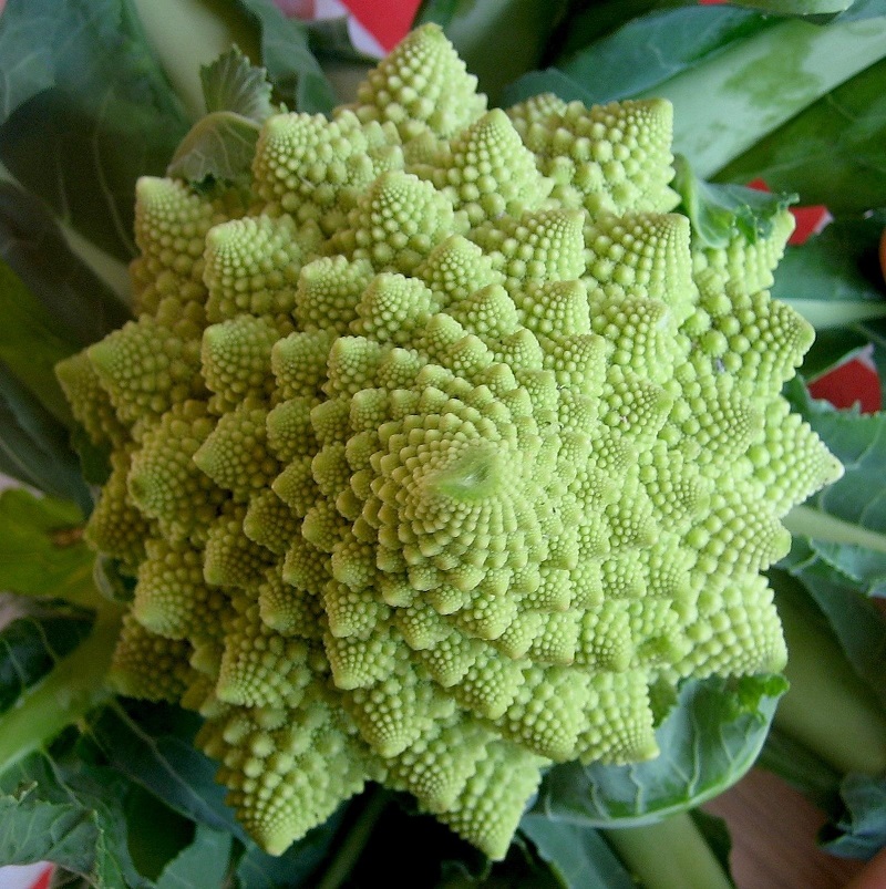 romanesco