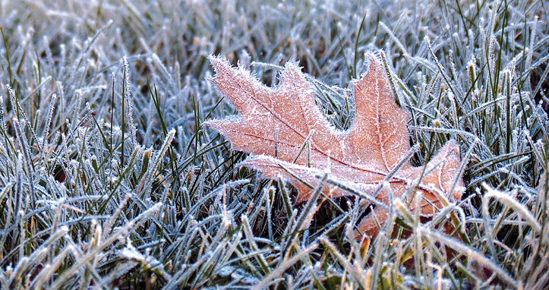 first frost