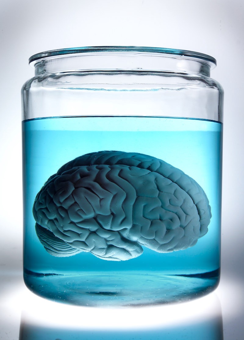 brain in jar
