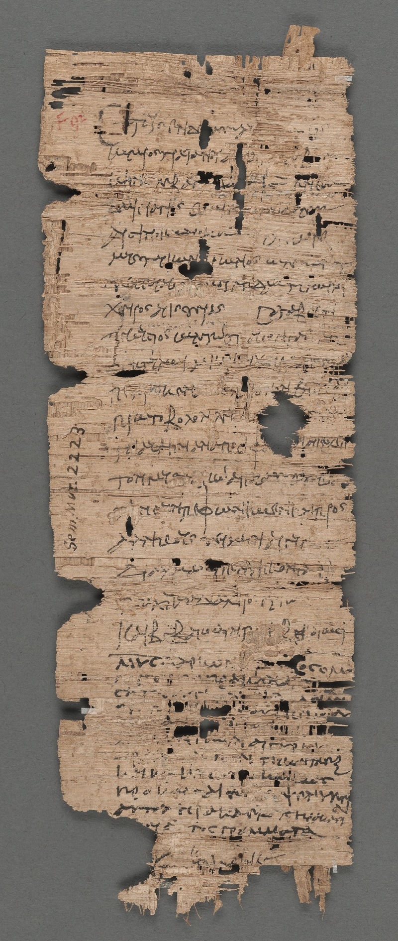 papyrus