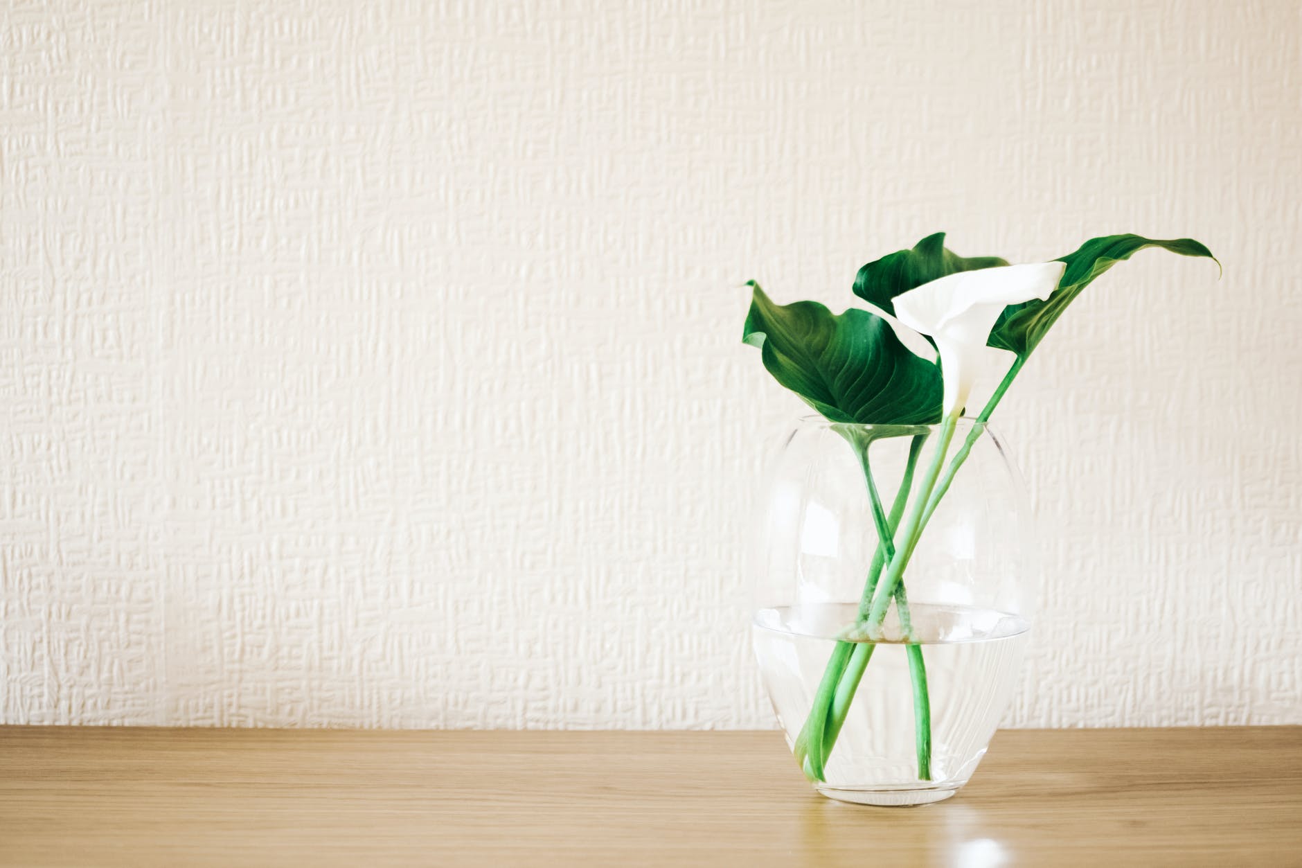 green plant on clear glass vase