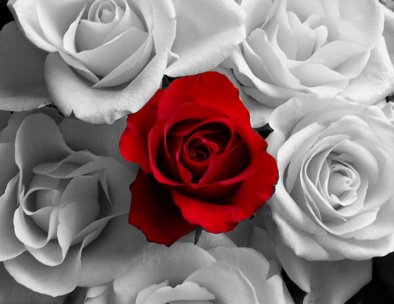 a bit like the flag of japan