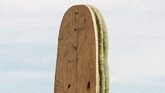 Film crew filming around a supported saguaro cactus in the desert